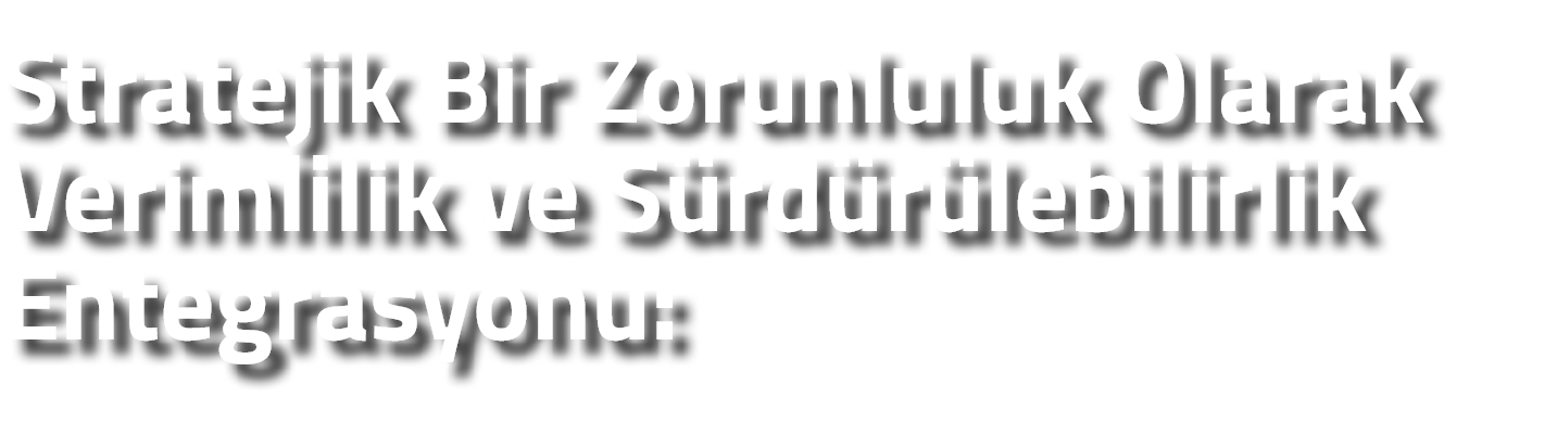 Stratejik Bir Zorunluluk Olarak Verimlilik ve S rd r lebilirlik Entegrasyonu: 
