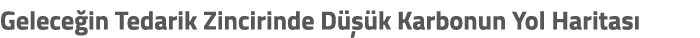 Gelece in Tedarik Zincirinde D  k Karbonun Yol Haritas 