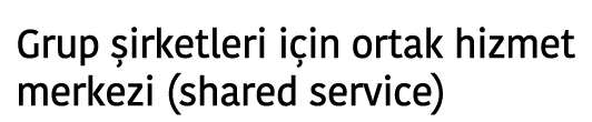 Grup  irketleri i in ortak hizmet merkezi  shared service 