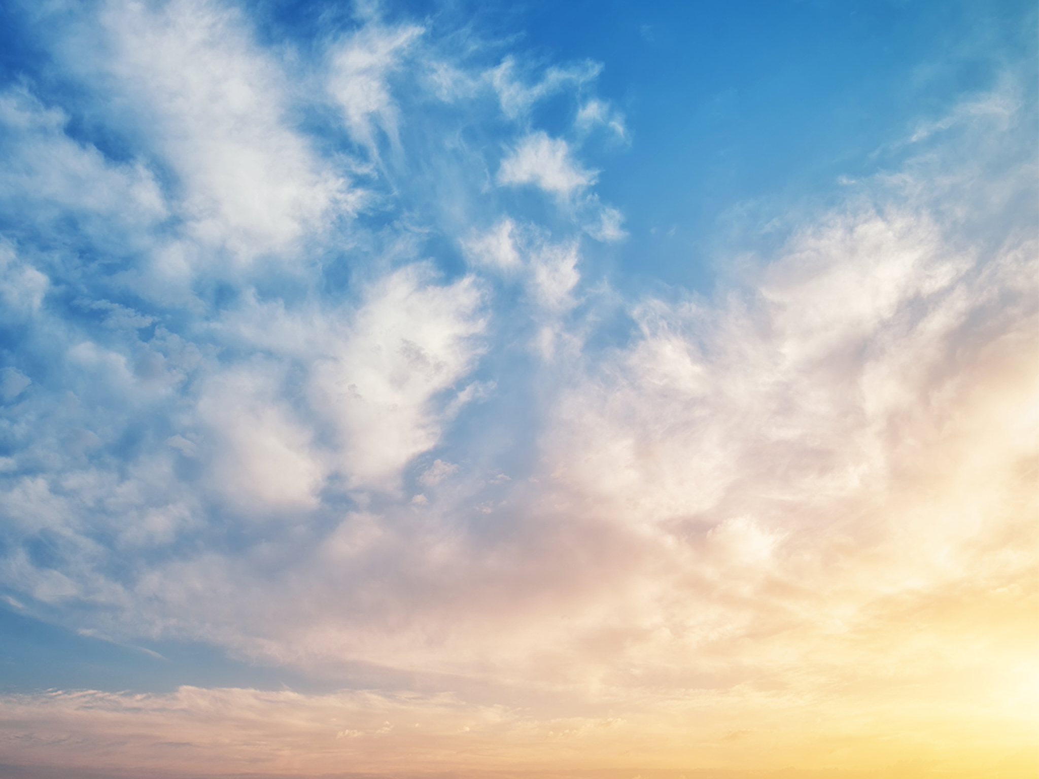 Stacked Wooden Euro Pallets at Storage area of Recycling Depot Warehouse
