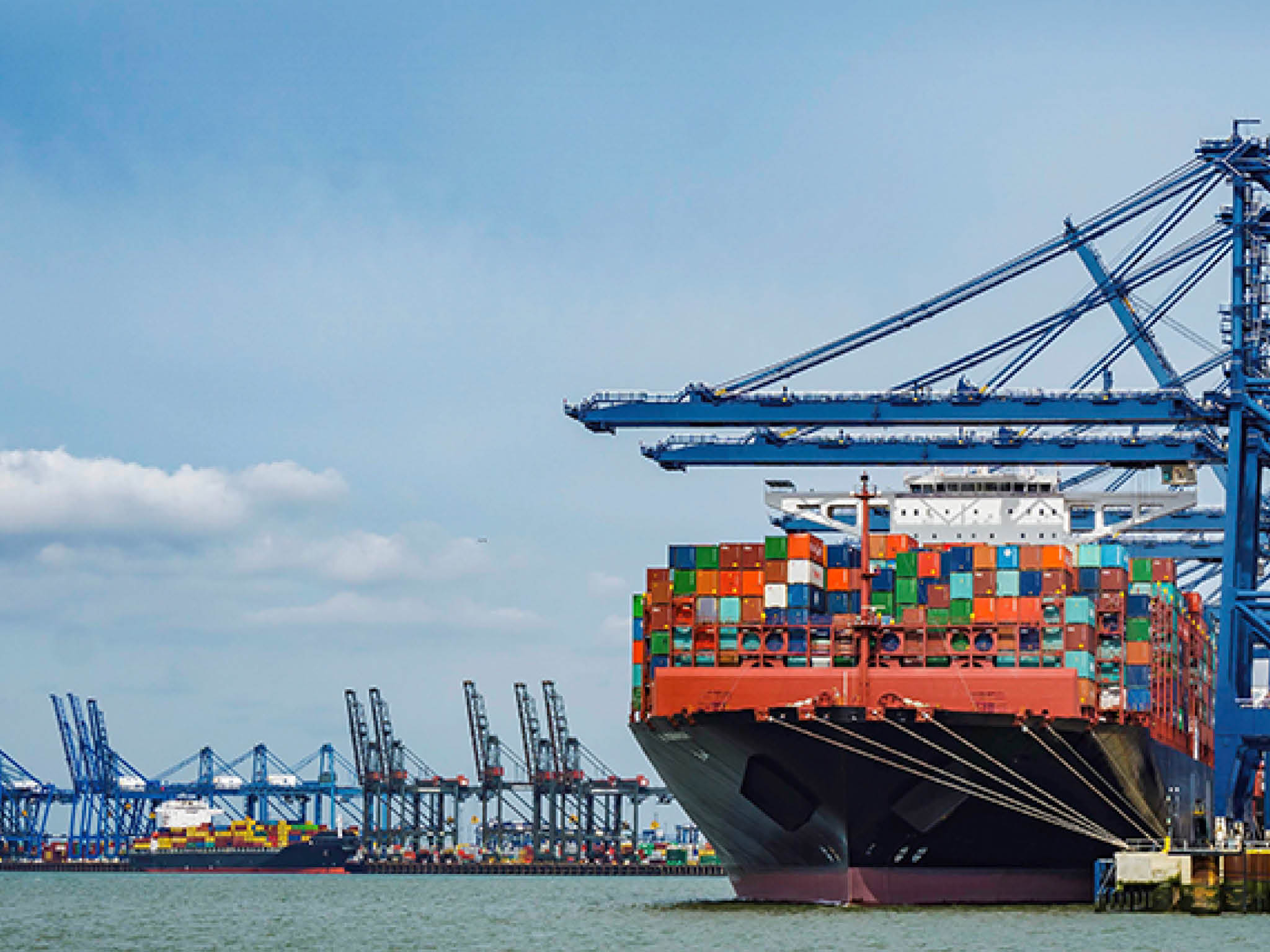 Container ships under the gantry cranes
